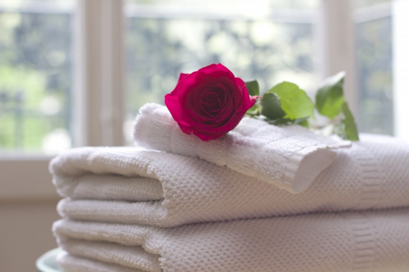 hotel-ST ETIENNE DE TINEE-min_towel_rose_clean_care_salon_spa_white_bath-731641